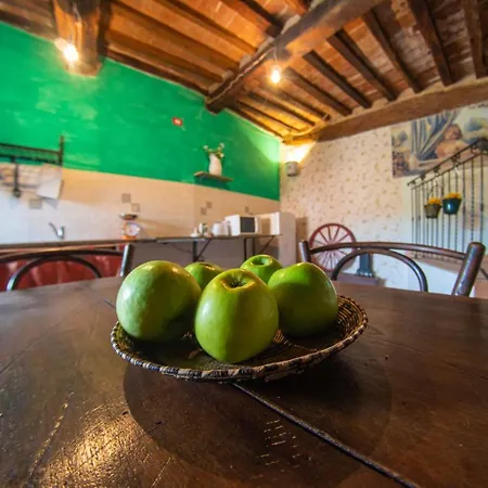 Appartamento Coccinella House *
