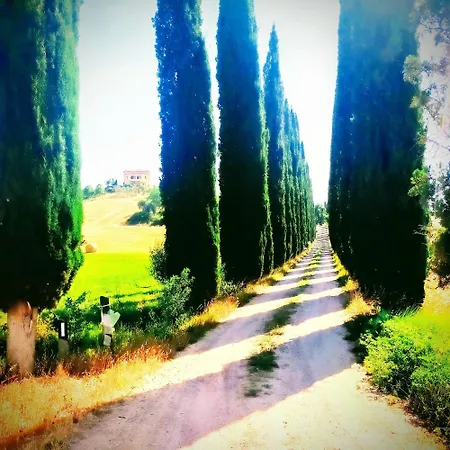 Appartamento Coccinella House *